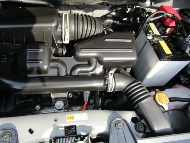 タント（新潟県糸魚川市）