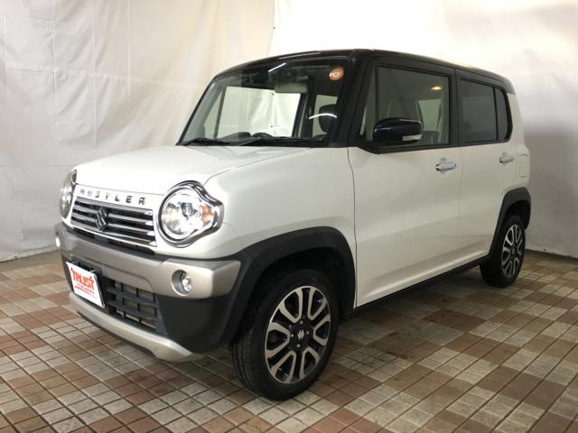 ハスラー(新潟県新潟市西区)