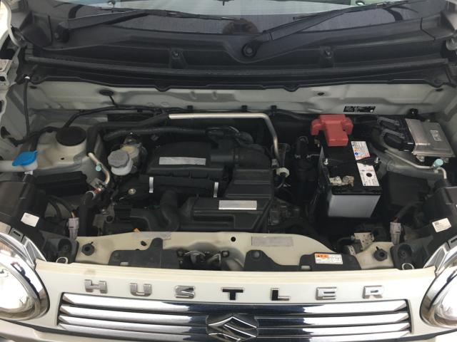 ハスラー(新潟県新潟市西区)