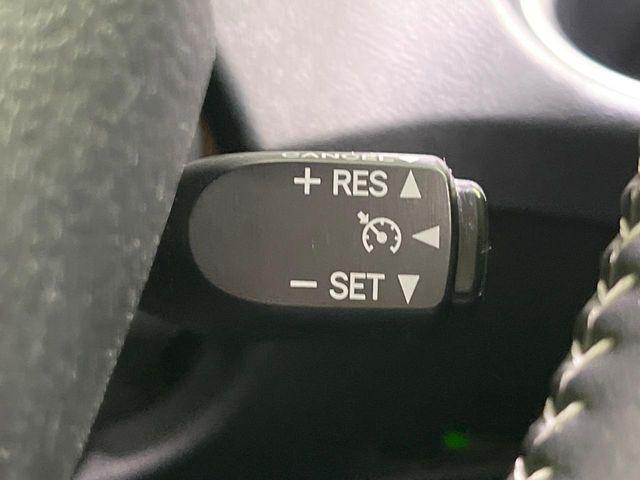 シエンタ(新潟県長岡市)