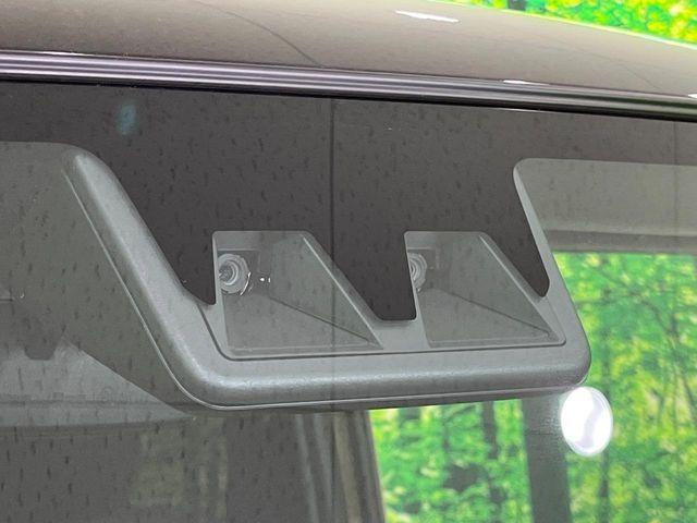 タフト（新潟県長岡市）画像3