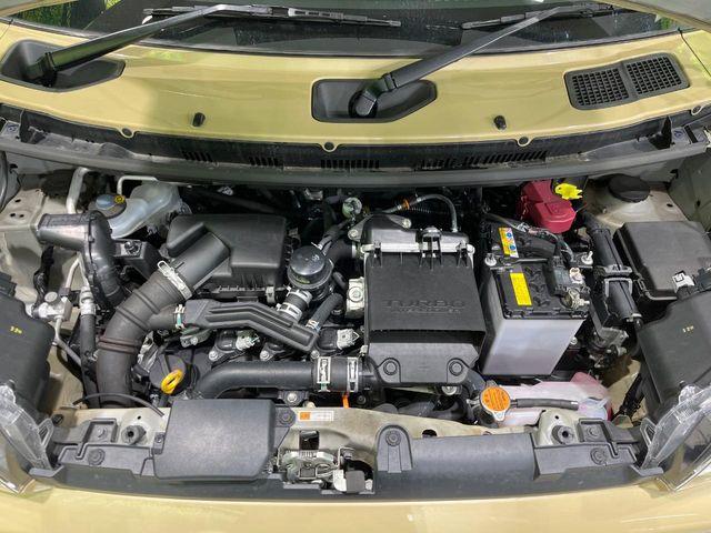 タフト（新潟県長岡市）画像18