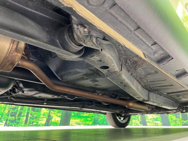 タフト（新潟県長岡市）画像21