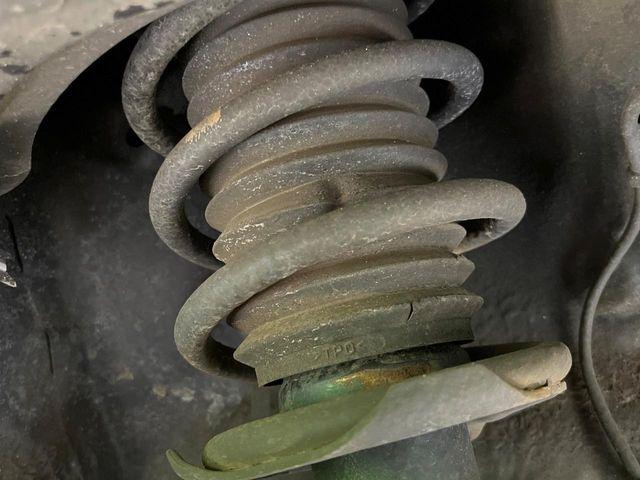 タフト（新潟県長岡市）画像23