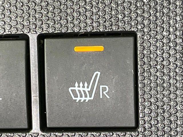 タフト（新潟県長岡市）画像31