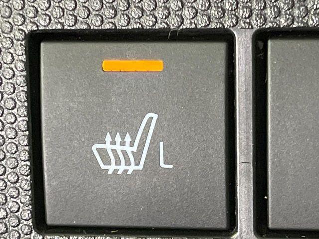 タフト（新潟県長岡市）画像32