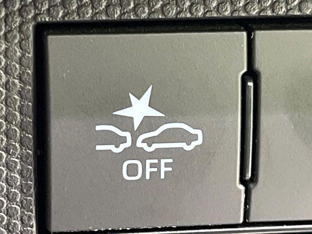 タフト（新潟県長岡市）画像34