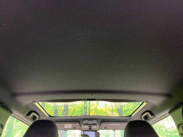 タフト（新潟県長岡市）画像50