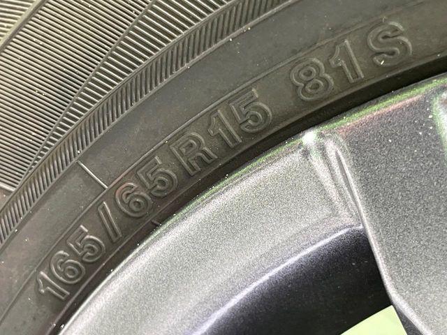 タフト（新潟県長岡市）画像57