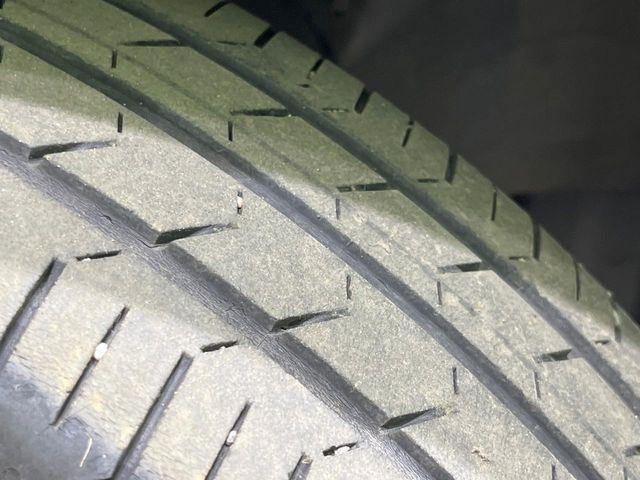 タフト（新潟県長岡市）画像58