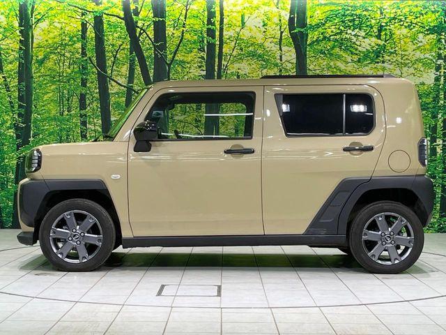 タフト（新潟県長岡市）画像62