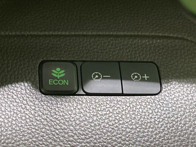 N＿BOX（新潟県長岡市）