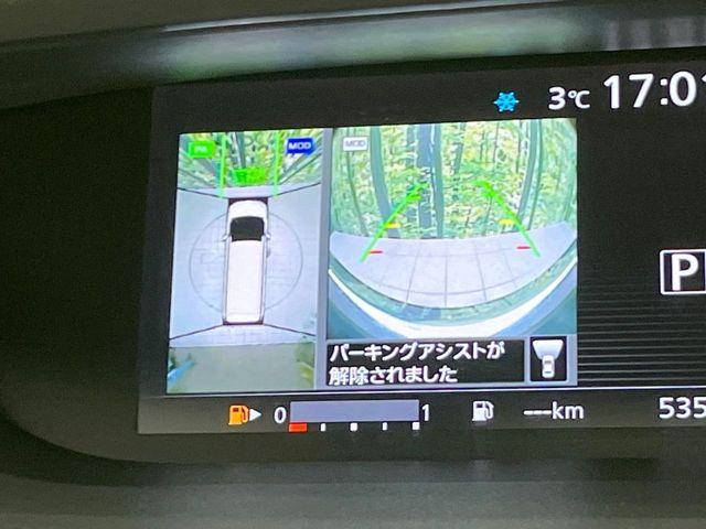 セレナ(新潟県長岡市)