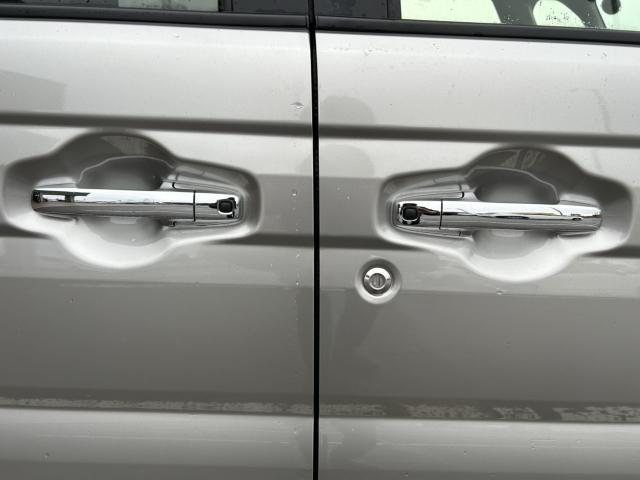 スペーシア(新潟県新潟市西蒲区)