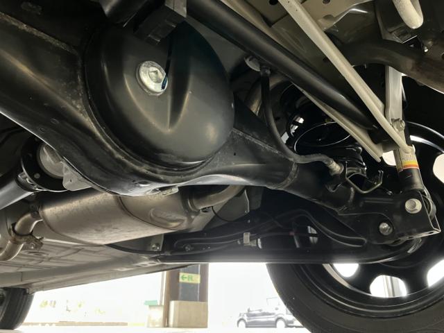 ハスラー(新潟県新潟市西蒲区)