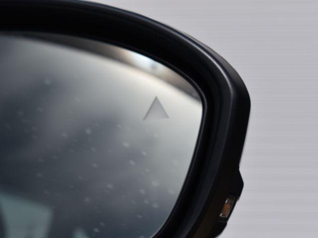 オーラ（新潟県上越市）画像42