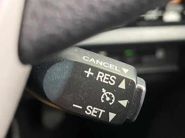 ノア(新潟県新潟市南区)