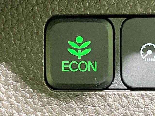 N＿BOX（新潟県長岡市）