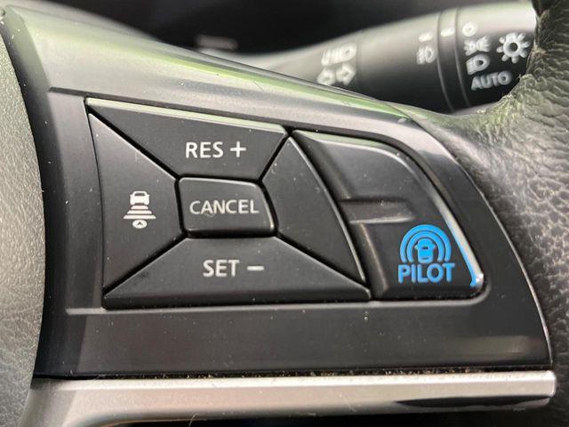 セレナ(新潟県新潟市南区)