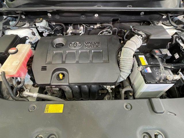 ハリアー(新潟県新潟市南区)