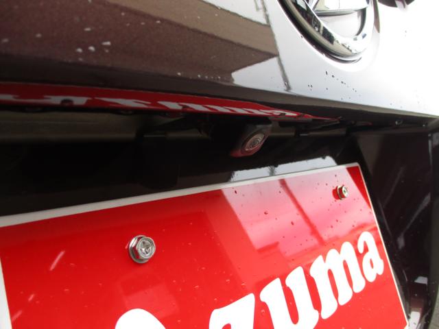 ムーヴキャンバス(新潟県上越市)