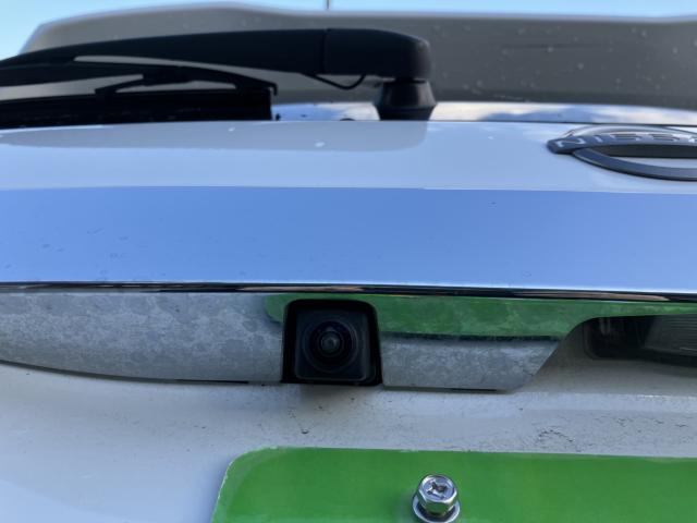 デイズ（新潟県新潟市西蒲区）