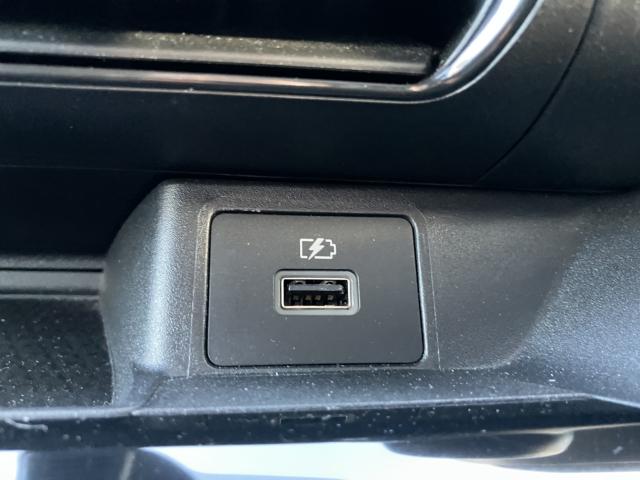 デイズ（新潟県新潟市西蒲区）