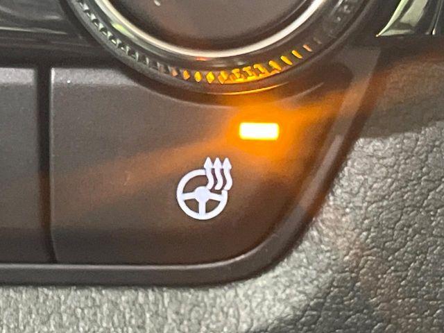 ＣＸ－３０（新潟県長岡市）画像7