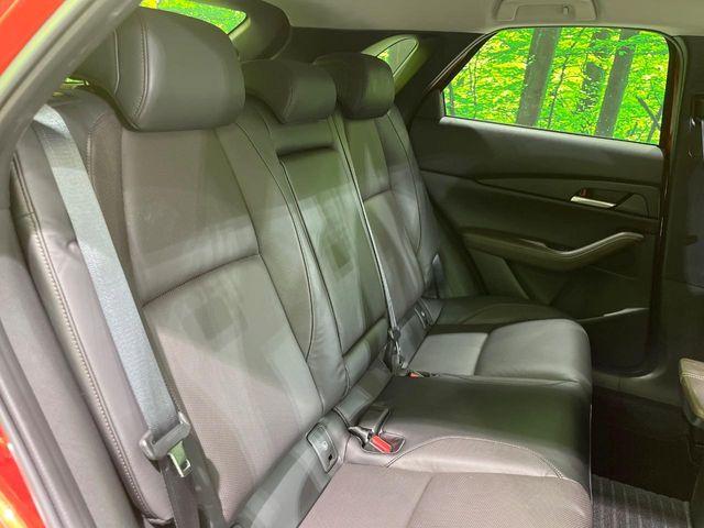 ＣＸ－３０（新潟県長岡市）画像10