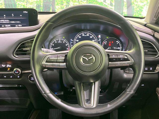 ＣＸ－３０（新潟県長岡市）画像12