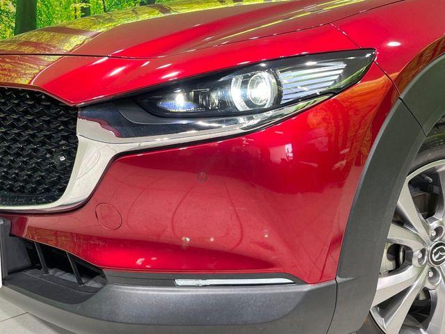 ＣＸ－３０（新潟県長岡市）画像13