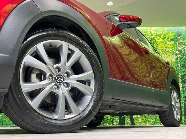 ＣＸ－３０（新潟県長岡市）画像14