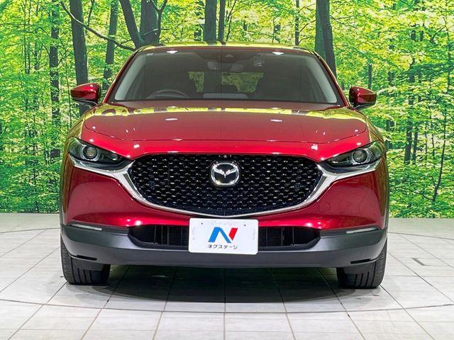 ＣＸ－３０（新潟県長岡市）画像15