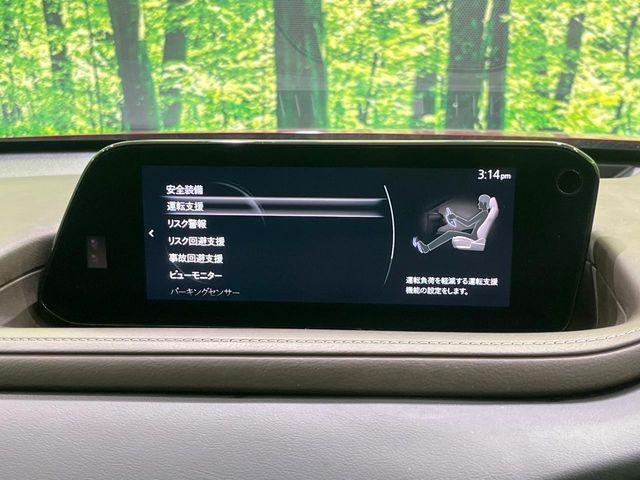 ＣＸ－３０（新潟県長岡市）画像24