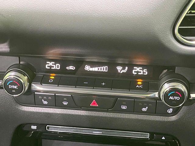 ＣＸ－３０（新潟県長岡市）画像26