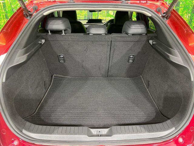 ＣＸ－３０（新潟県長岡市）画像52