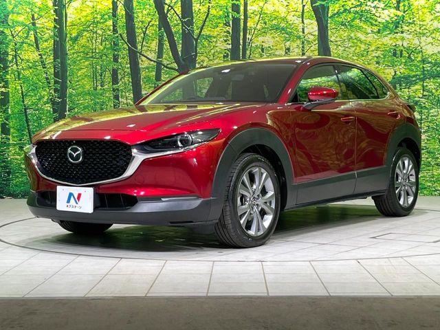 ＣＸ－３０（新潟県長岡市）画像63