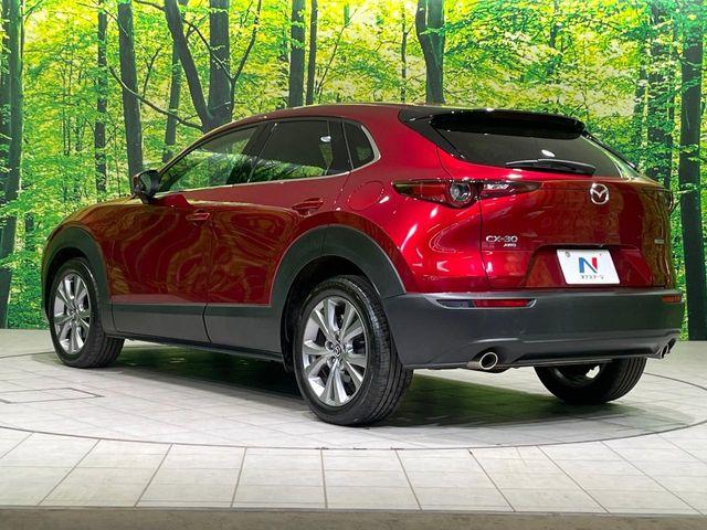 ＣＸ－３０（新潟県長岡市）画像64