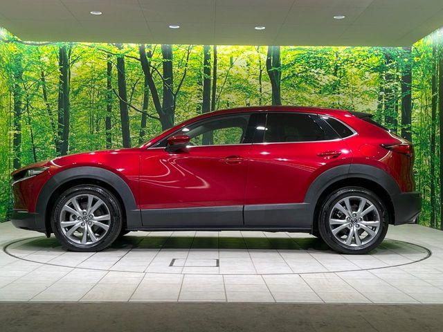 ＣＸ－３０（新潟県長岡市）画像65