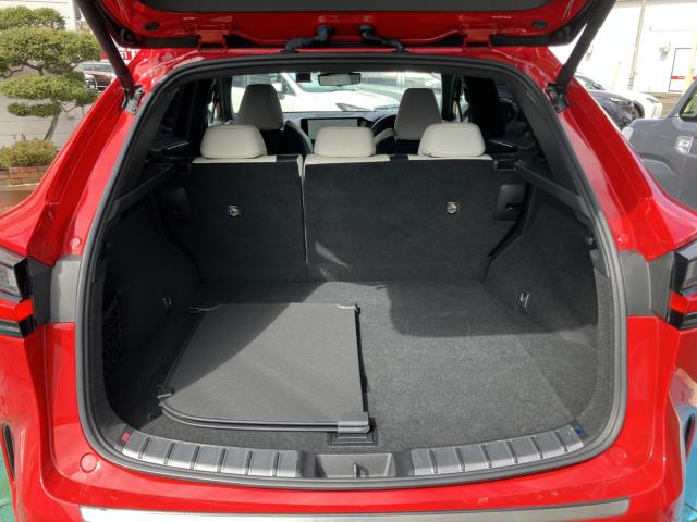 レクサスＮＸ（新潟県長岡市）