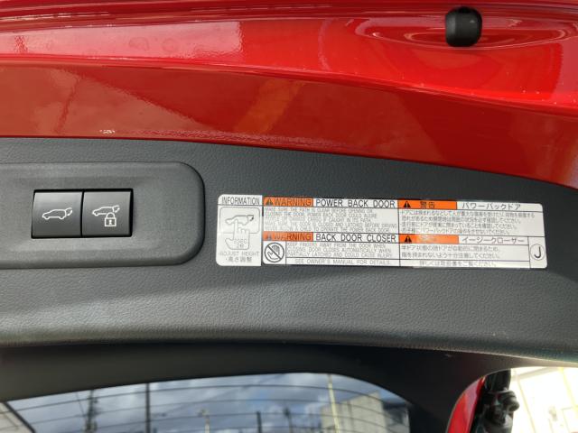 レクサスＮＸ（新潟県長岡市）