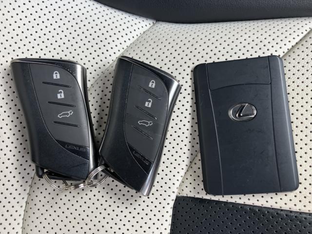 レクサスＮＸ（新潟県長岡市）