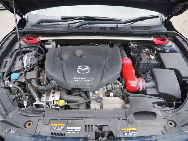 アクセラスポーツ（新潟県新潟市西区）