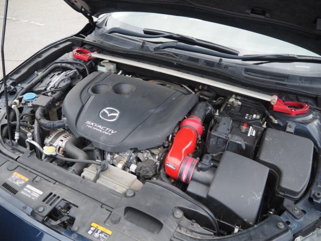 アクセラスポーツ（新潟県新潟市西区）