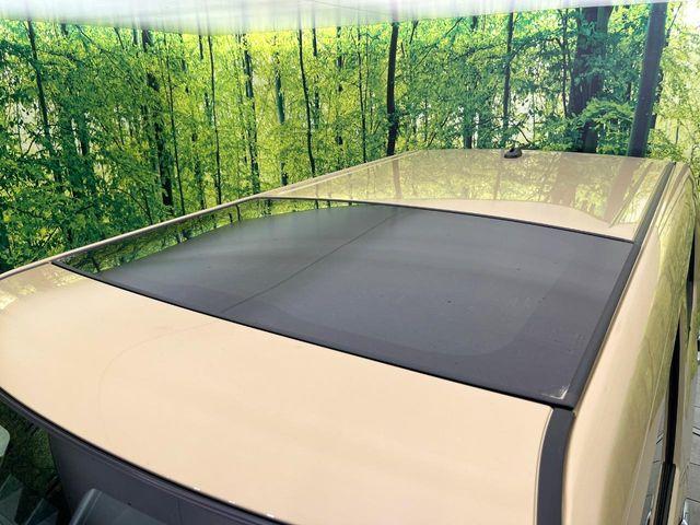 タフト（新潟県新潟市東区）