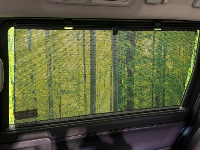 エルグランド（新潟県新潟市南区）