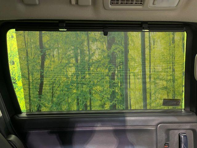 エルグランド（新潟県新潟市南区）