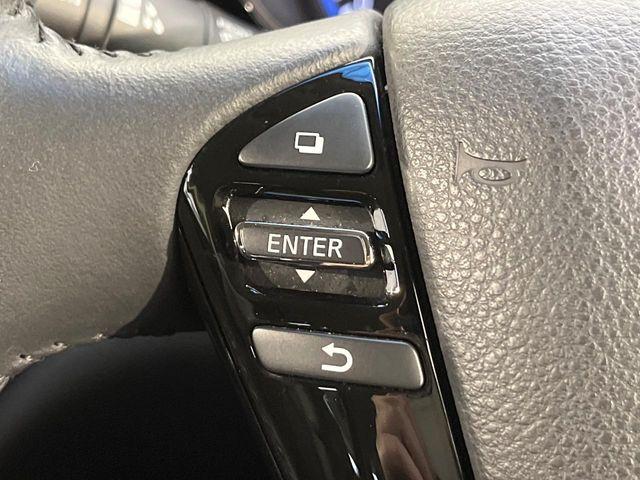 エルグランド（新潟県新潟市南区）