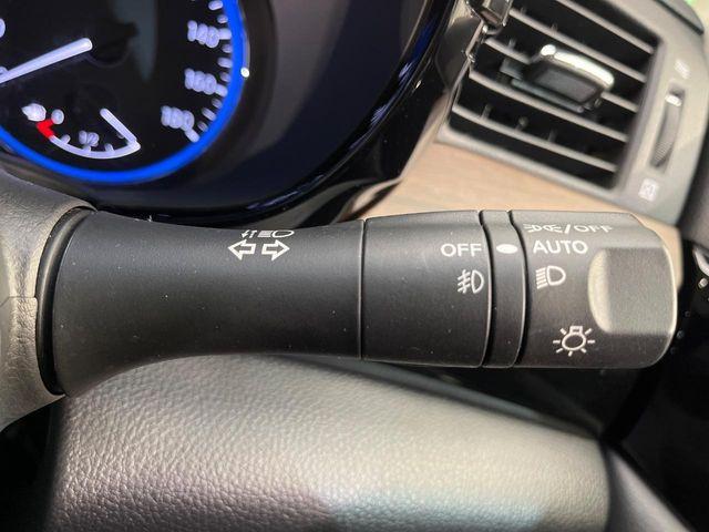 エルグランド（新潟県新潟市南区）