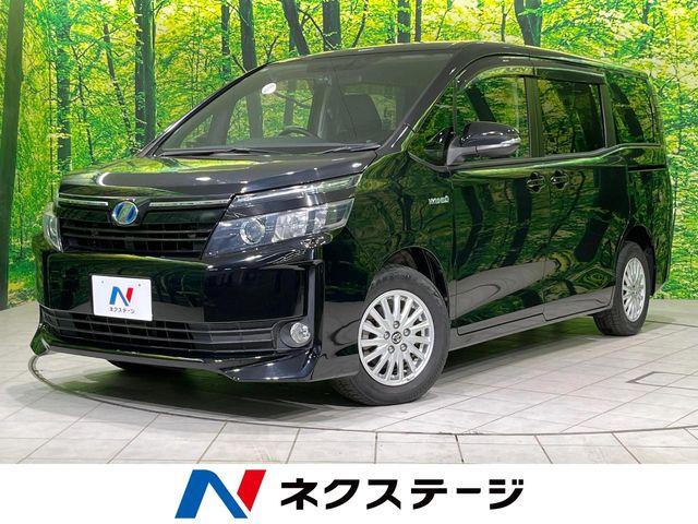 ヴォクシー（新潟県長岡市）